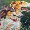 Borzoi Dogs Diamond Painting