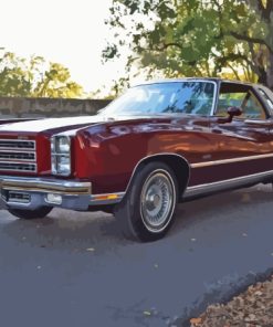 Brown 76 Monte Carlo Diamond Painting