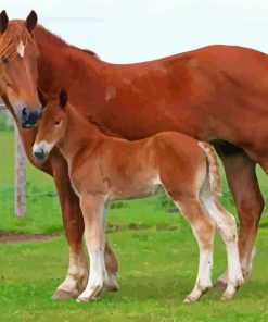 Brown Horse And Colt Diamond Painting