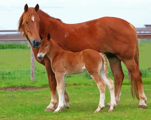 Brown Horse And Colt Diamond Painting