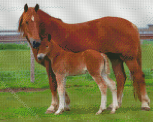 Brown Horse And Colt Diamond Painting