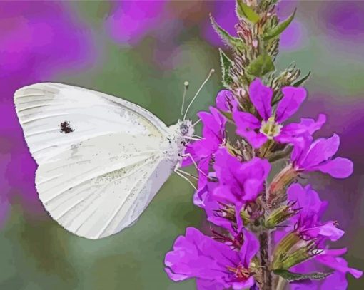 Butterfly On Purple Flowers Diamond Painting