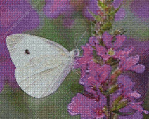 Butterfly On Purple Flowers Diamond Painting