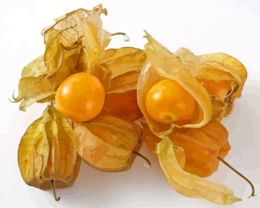 Cape Gooseberries Fruit Diamond Painting