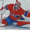 Carey Price Player Diamond Painting