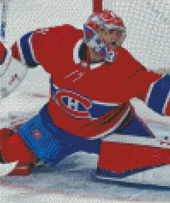 Carey Price Player Diamond Painting