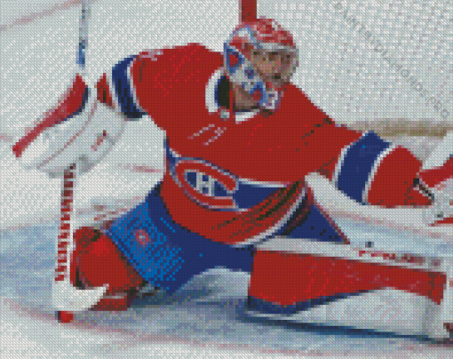 Carey Price Player Diamond Painting