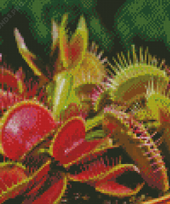 Carnivorous Plant Diamond Painting