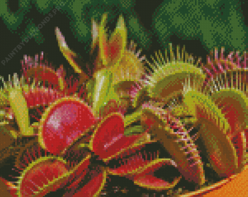 Carnivorous Plant Diamond Painting