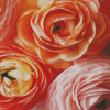 Close Up Ranunculus Diamond Painting