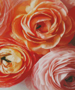 Close Up Ranunculus Diamond Painting