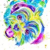 Colorful Shih Tzu Diamond Painting