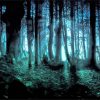 Creepy Dark Forest Diamond Painting