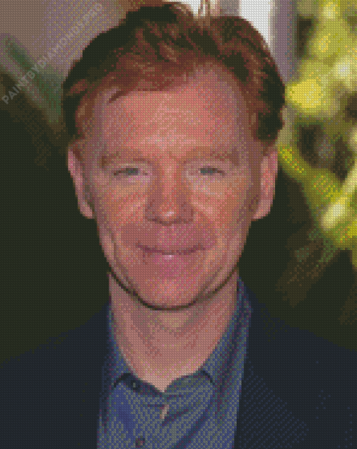 David Caruso Diamond Painting