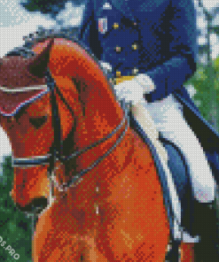 Dressage Horse Diamond Painting