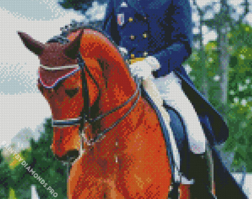 Dressage Horse Diamond Painting