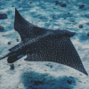 Eagle Rays Fish Diamond Painting