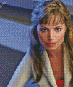 Erica Durance Diamond Painting