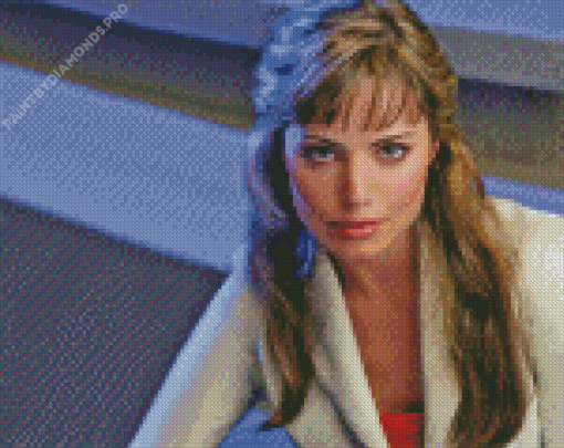 Erica Durance Diamond Painting