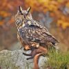 Eurasian Eagle Owl Diamond Painting