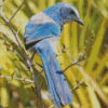 Florida Scrub Jay Diamond Painting