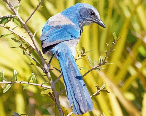 Florida Scrub Jay Diamond Painting