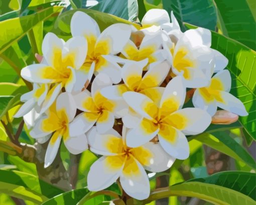 Frangipani Flowers Diamond Painting