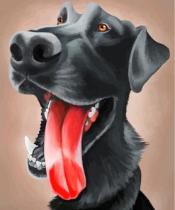 Funny Labrador Diamond Painting