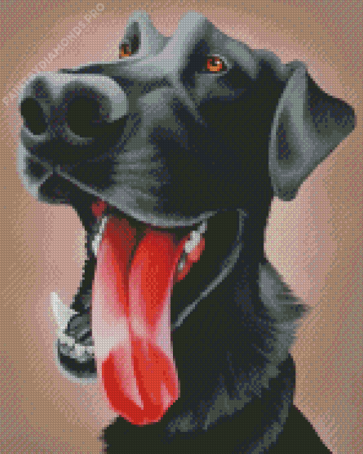 Funny Labrador Diamond Painting