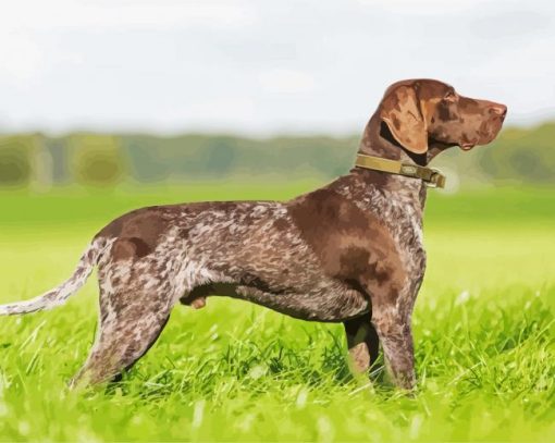 German Shorthaired Pointer Diamond Painting