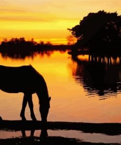 Horse Silhouette Diamond Painting