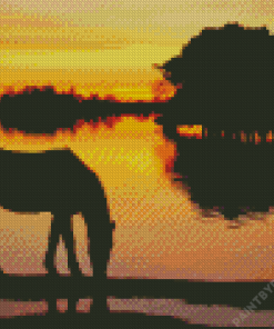 Horse Silhouette Diamond Painting