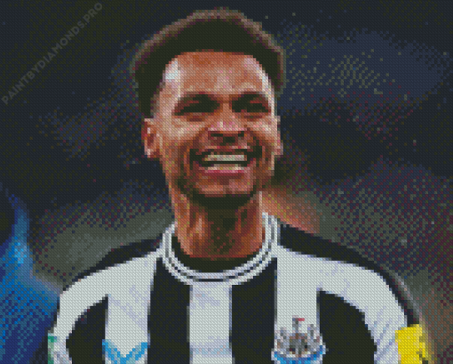 Jacob Murphy Face Diamond Painting