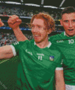 Limerick County Hurling Diamond Painting