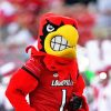 Louisville Cardinals Mascot Diamond Painting