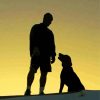 Man And Dog Silhouette Diamond Painting