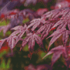 Maroon Shrubs Leaves Diamond Painting