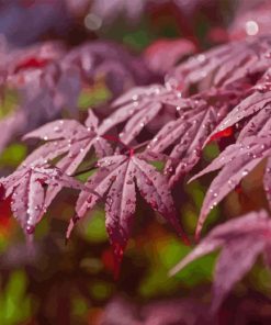 Maroon Shrubs Leaves Diamond Painting