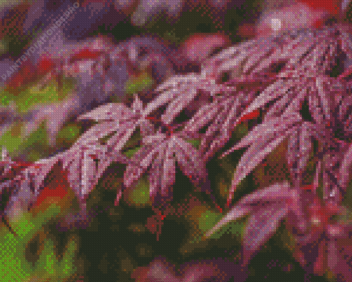 Maroon Shrubs Leaves Diamond Painting