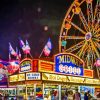 Minnesota State Fair Diamond Painting