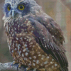 Morepork Bird Diamond Painting