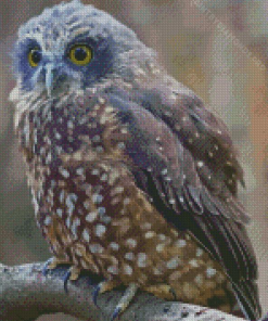 Morepork Bird Diamond Painting