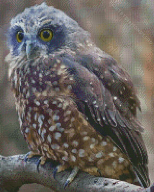 Morepork Bird Diamond Painting