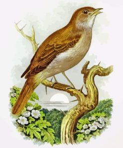 Nightingale Bird Art Diamond Painting