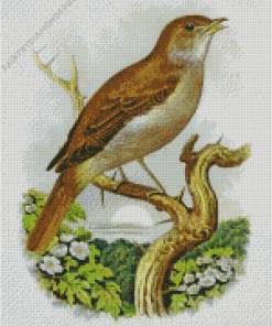 Nightingale Bird Art Diamond Painting