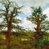 Oak Trees Diamond Painting