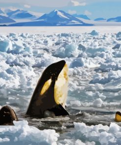 Orca In Antarctica Ice Diamond Painting