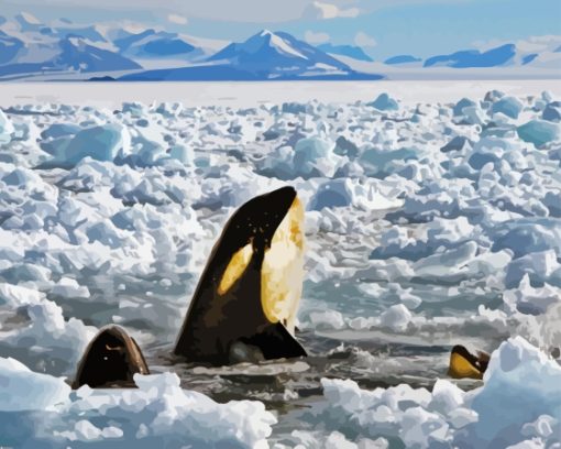 Orca In Antarctica Ice Diamond Painting