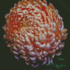 Peach Chrysanthemum Flower Diamond Painting