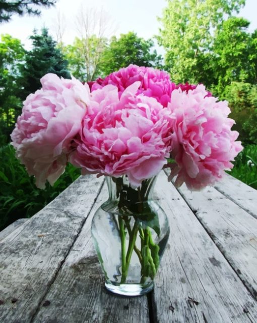 Peonies In Glass Diamond Painting